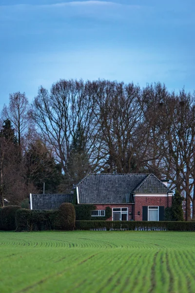 Farmland ze starym holenderskim gospodarstwie wczesną wiosną o zmierzchu. — Zdjęcie stockowe