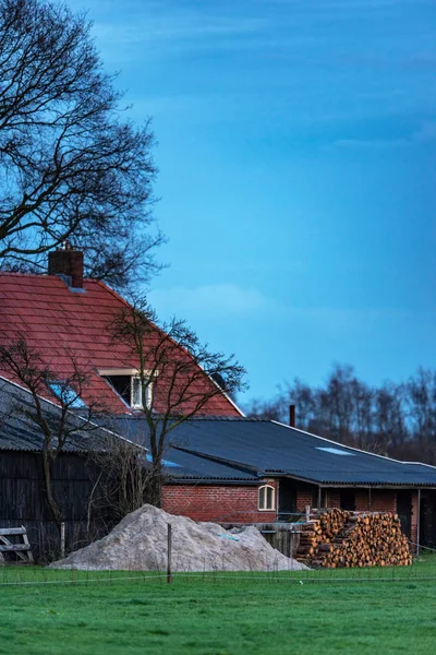 Campo holandês com casa e pilha de madeira ao entardecer . — Fotografia de Stock