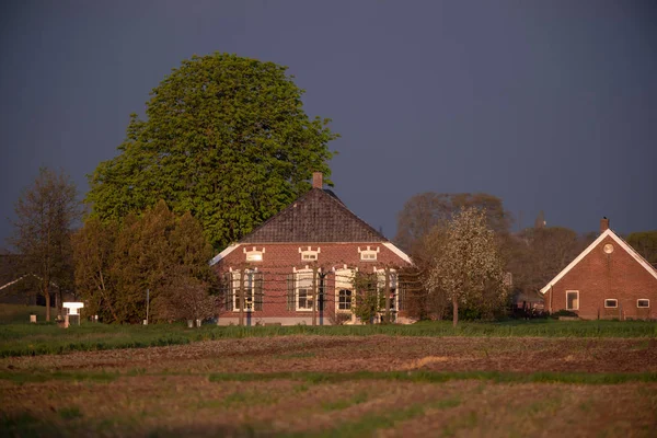 Oude Nederlandse boerderij in avond zonlicht in de lente. — Stockfoto