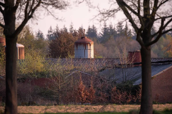 Silos i stodoły w wieczornym słońcu wiosną. — Zdjęcie stockowe