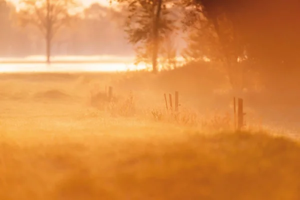 Şafakvakti sisli kırsal alanda çitle tarla. — Stok fotoğraf