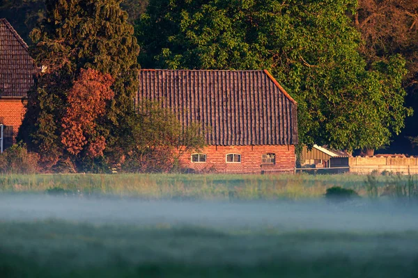 Velha quinta holandesa na manhã enevoada . — Fotografia de Stock