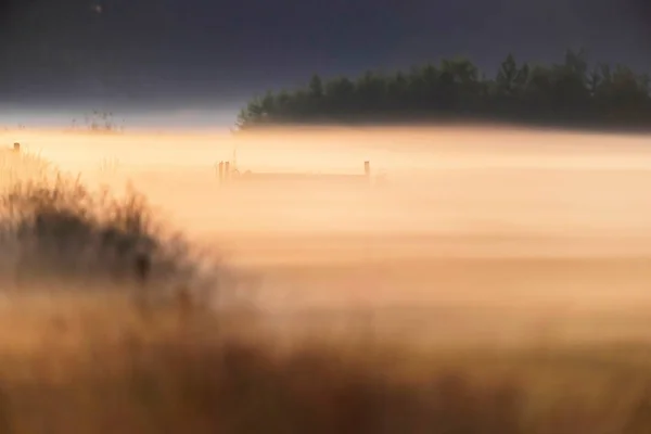 Zamlžené pole na venkově při východu slunce. — Stock fotografie