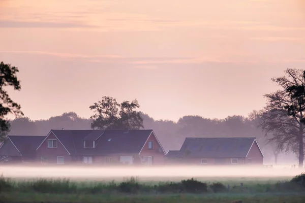 日の出の霧の田園地帯の住宅. — ストック写真