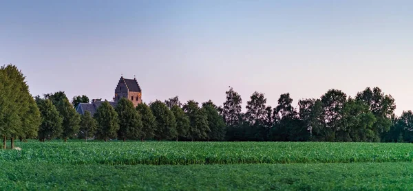 네덜란드 시골 마을의 나무 위의 역사적인 교회 타워. — 스톡 사진