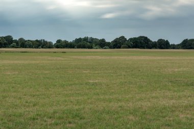 Karanlık bulutlu gökyüzünün altında ufukta orman olan çayır. Uzun exposu