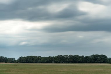Karanlık bulutlu gökyüzünün altında ufukta orman olan çayır. Uzun exposu