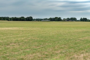 Karanlık bulutlu gökyüzünün altında ufukta orman olan çayır. Uzun exposu