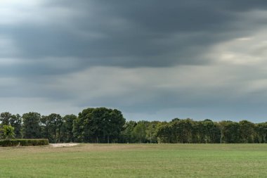 Bulutlu gökyüzünün altında ufukta ağaçlarla çayır. Uzun pozlama sho