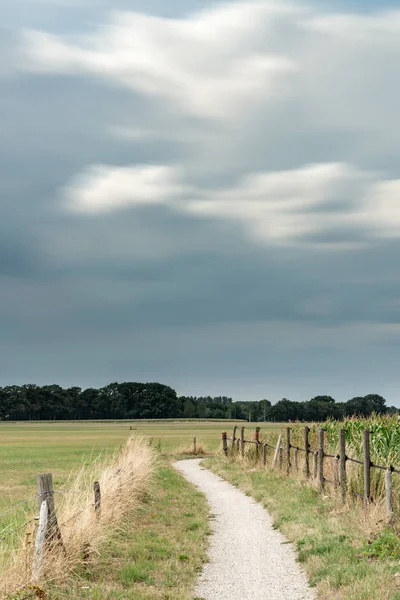 Dirt pathway between fence and corn field under cloudy sky. Long — Stock Photo, Image