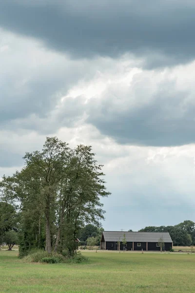 Schuur en groep bomen onder bewolkte hemel in landelijk landschap. — Stockfoto