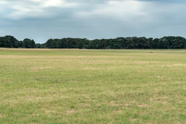 Pradera con bosque en el horizonte bajo el cielo nublado oscuro. Larga exposición —  Fotos de Stock