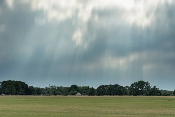 Äng med skog på horisonten under mörker grumlig himmel. Lång expone — Stockfoto