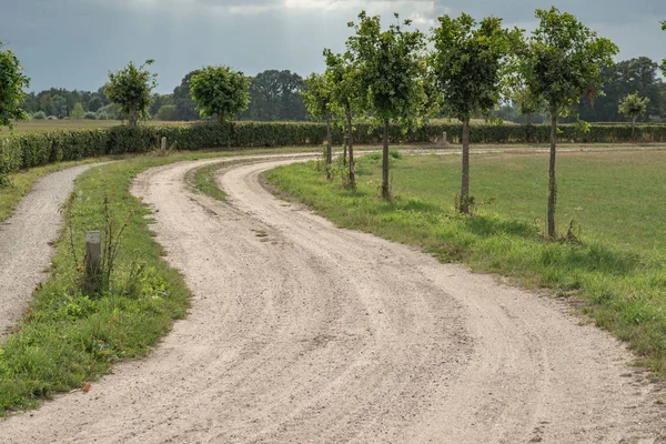 Drumul curbat de murdărie în peisajul rural de vară sub cerul înnorat . — Fotografie, imagine de stoc
