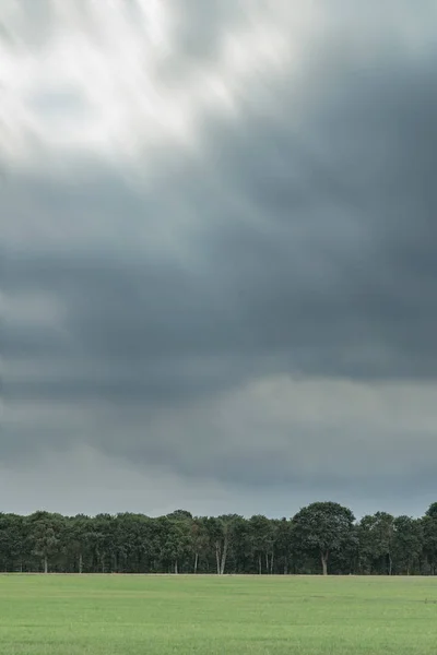 Weide met bomen aan de horizon onder bewolkte hemel. Lange blootstelling Sho — Stockfoto