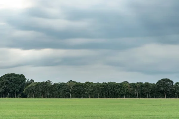 Meadow with trees on horizon under cloudy sky. Long exposure sho — Stock Photo, Image