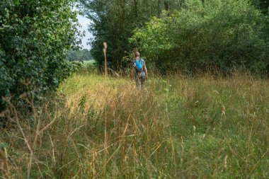 Yaz aylarında orman alanında sırt çantası ile adam yürüyüşleri.