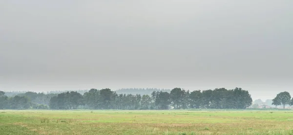 Wiese mit Wald am nebligen Horizont. — Stockfoto