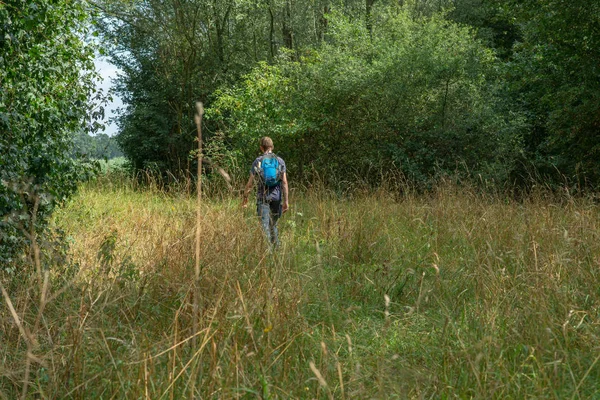 Man with backpack hikes through forest field in summer. — Stock Photo, Image