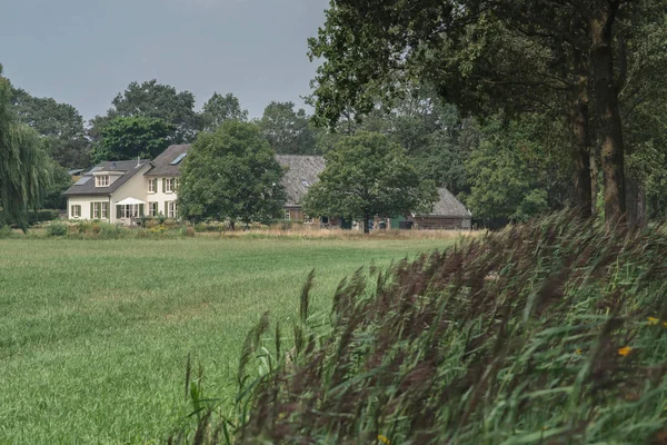 Helles Haus in sommerlicher Landschaft. — Stockfoto