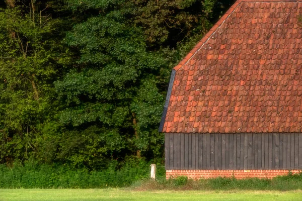 Ιστορική ολλανδική αγροικία στην ηλιόλουστη ύπαιθρο κατά τη διάρκεια του καλοκαιριού. — Φωτογραφία Αρχείου