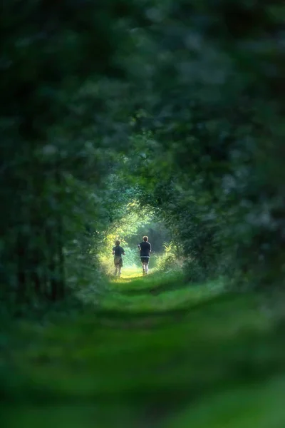 Two young men running on sunny forest path during summer.