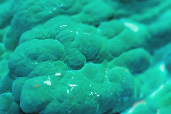 Detalhe de cristal verde e pedra mineral . — Fotografia de Stock