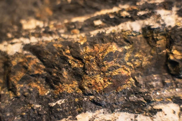 Detalle de oro y piedra mineral de color negro . — Foto de Stock