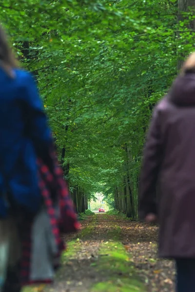 Duas mulheres caminhando no caminho da floresta decídua . — Fotografia de Stock