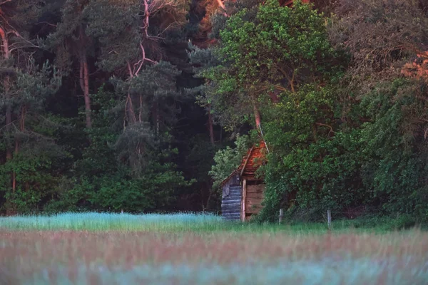 Alte Holzscheune in buschiger Landschaft. — Stockfoto