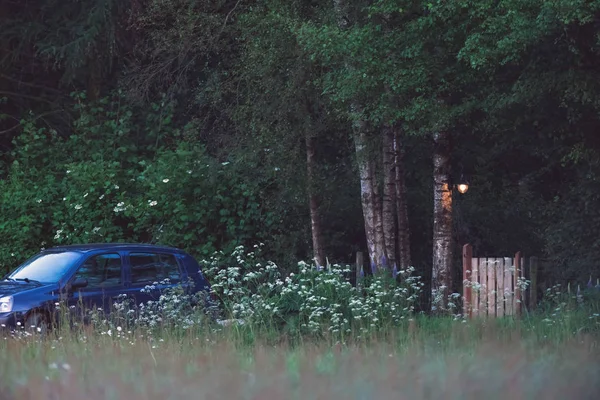 Porte de jardin et lanterne dans la campagne buissonnante au crépuscule . — Photo