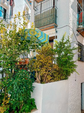 Beyaz bir İspanyol Endülüs köyünde küçük bir şehir avlusunda ağaçlar arasında şemsiye. Ojen, Malaga, Endülüs, İspanya.