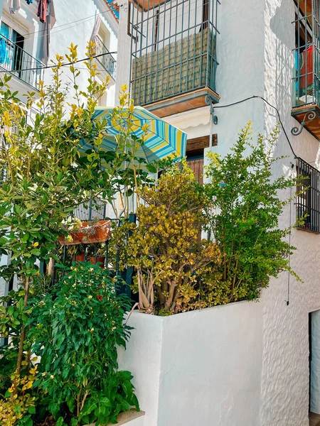 Beyaz bir İspanyol Endülüs köyünde küçük bir şehir avlusunda ağaçlar arasında şemsiye. Ojen, Malaga, Endülüs, İspanya.