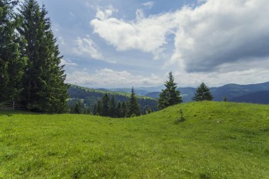 Dağ manzarasında güneşli güzel bir gün. Karpatlar, Ukrayna.