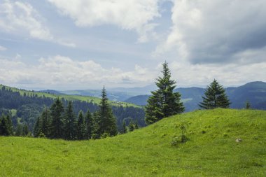 Dağ manzarasında güneşli güzel bir gün. Karpatlar, Ukrayna.