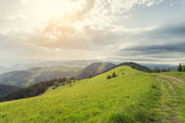 Dağ manzarasında güneşli güzel bir gün. Karpatlar, Ukrayna.