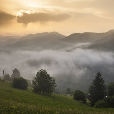 Sisli arazideki güzel sis dağlarının görkemli manzarası. Dramatik sıradışı sahne. Seyahat geçmişi. Güzellik dünyasını keşfediyorum. Karpat Dağları. Ukrayna. Avrupa.