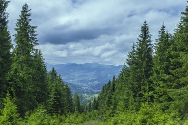 Dağ manzarasında güneşli güzel bir gün. Karpatlar, Ukrayna.