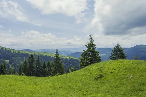 Dağ manzarasında güneşli güzel bir gün. Karpatlar, Ukrayna.