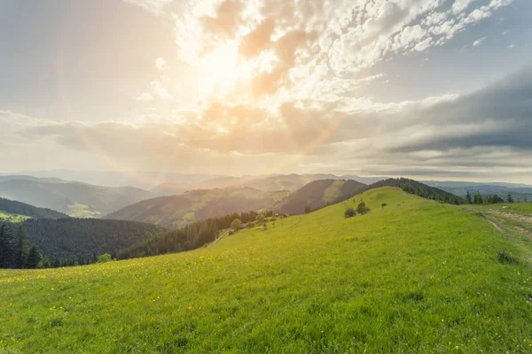 Beautiful Sunny Day Mountain Landscape Carpathian Ukraine — Stock Photo, Image