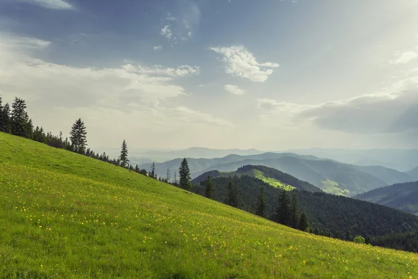 Beautiful Sunny Day Mountain Landscape Carpathian Ukraine — Stock Photo, Image