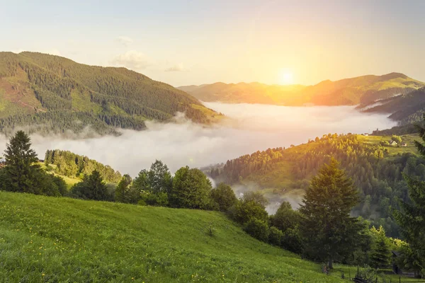 Sisli arazideki güzel sis dağlarının görkemli manzarası. Dramatik sıradışı sahne. Seyahat geçmişi. Güzellik dünyasını keşfediyorum. Karpat Dağları. Ukrayna. Avrupa.