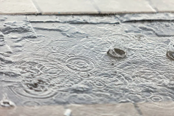 Wasserpfütze Bei Regen Selektiver Fokus — Stockfoto