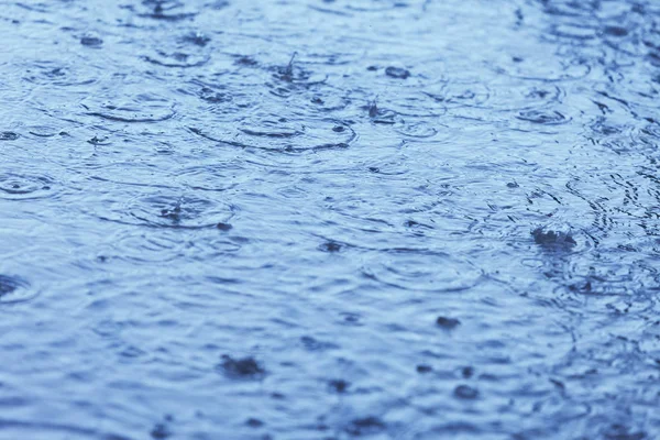 Wasserpfütze Bei Regen Selektiver Fokus — Stockfoto