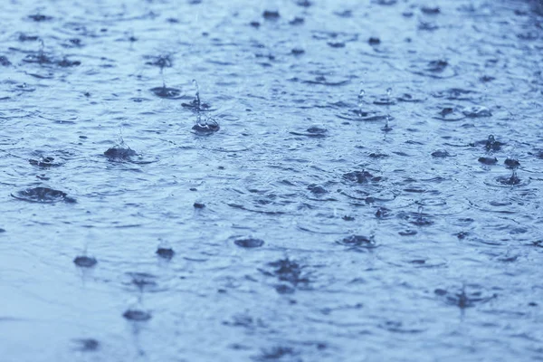 雨の中での水の水たまり 選択的な焦点 — ストック写真