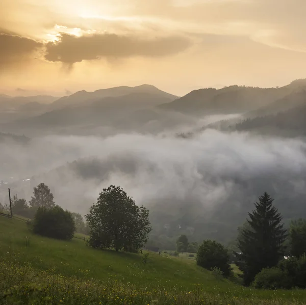 Sisli arazideki güzel sis dağlarının görkemli manzarası. Dramatik sıradışı sahne. Seyahat geçmişi. Güzellik dünyasını keşfediyorum. Karpat Dağları. Ukrayna. Avrupa.