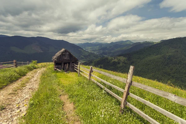 Beautiful Sunny Day Mountain Landscape Carpathian Ukraine — Stock Photo, Image