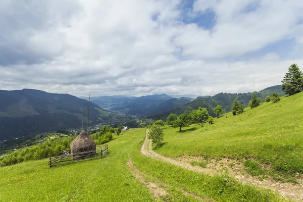 Mooie Zonnige Dag Het Berglandschap Karpaten Oekraïne — Stockfoto