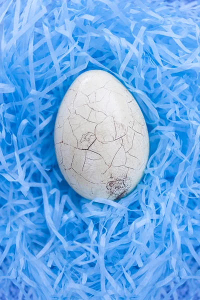 在蓝巢的裂纹的复活节彩蛋 — 图库照片