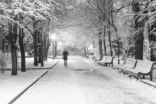 Footpath Fabulous Winter City Park — Stock Photo, Image